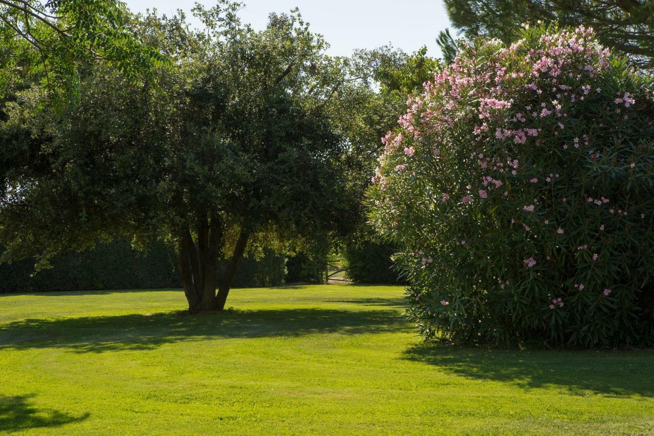 Villa Aia Vecchia Bibbona Exterior foto